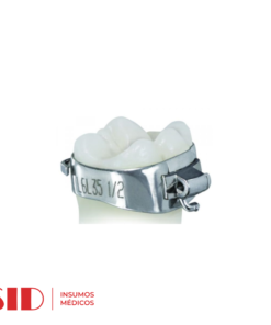 Banda 1er molar con tubo simple ROTH. Eurodonto